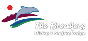 Image is not available